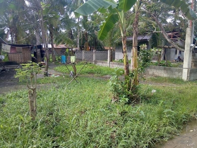 Residential Lot for sale in Tagum