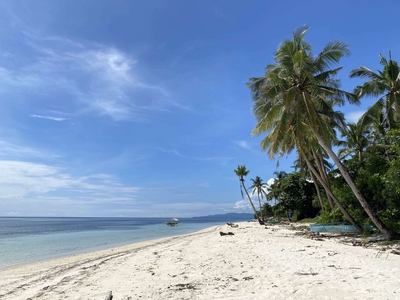 1 Hectare Bohol White Sand Beach Lot for Sale