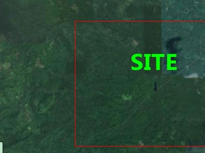 1000 Hectares - Biggest Lot in Tayabas City, Quezon (1 Owner Only)