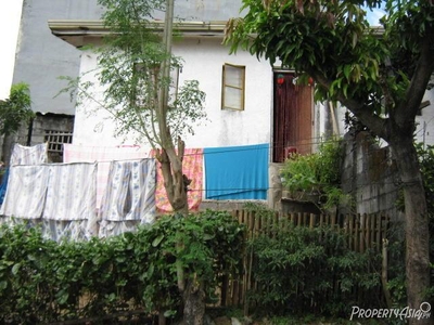108.50 Sqm House And Lot Sale In San Mateo
