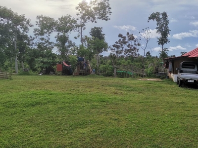 1.1 Hectare Farm Land For Sale in Talibon, Bohol