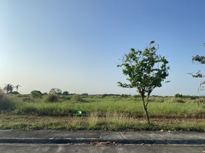 5.5 hectares -Baliuag Lot for SALE in Bulacan