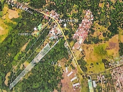 12,658 sqm Lot for Sale In Tibungco, Davao City, Davao Del Sur