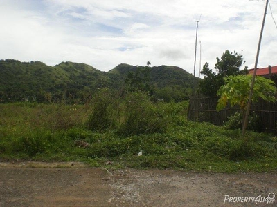 147 Sqm Residential Land/lot Sale In Roxas City