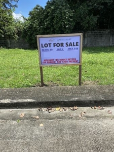 San Fernando Dizon Estate Blk 42 Lot 6, 301sqm Residential Lot for Sale,Pampanga