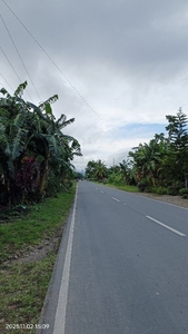1.5 Hectare Beach Lot For Sale in Infanta, Quezon - Clean Title