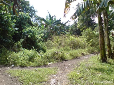 183 Sqm Residential Land/lot Sale In Candelaria