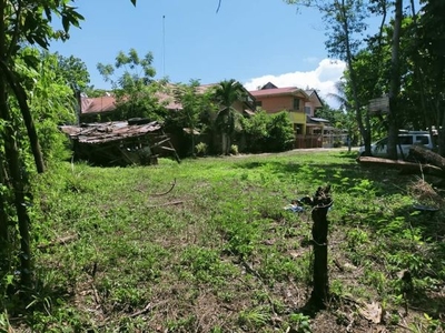 Overlooking 6,620sqm title lot in Catagbacan Loon Bohol 800 per sqm
