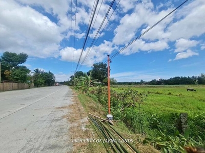250 sqm Commercial Lot For Sale Along National Road Janiuay City Iloilo