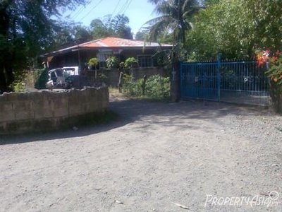 254 Sqm Residential Land/lot Sale In Cabanatuan City