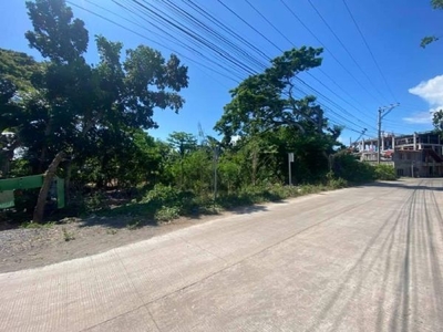 3,159 sq. meters Commercial Lot for Sale located in Danao, Panglao, Bohol