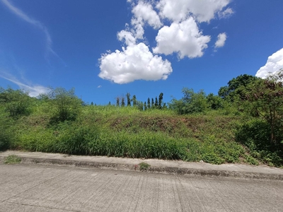 1,031 sqm lot for sale in LOAY BOHOL