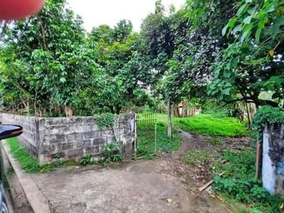El Nido Palawan Lot For Sale With Title in Brgy. Lio Near Ayala Project