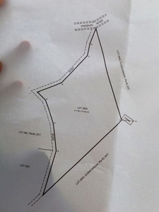 5.3 has Agricultural lot for sale in Guinayangan, Quezon
