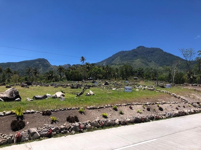613 Sqm Residential Land/lot For Sale In Dumaguete City