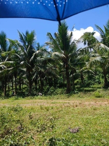 6.9 hectares agricultural lot at brgy. san roque unisan, quezon