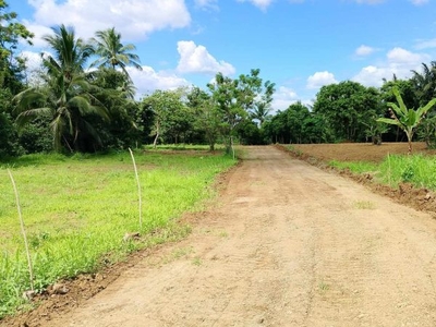 Affordable Residential Lot For Sale in Alfonso near Tagaytay