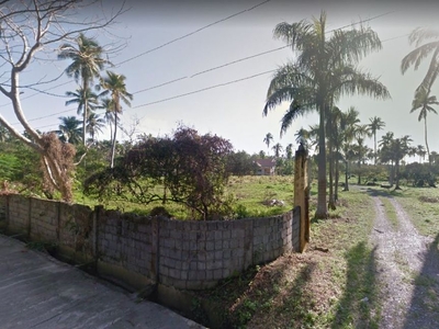 Agricultural Lot (3.9Has) for Sale in Buhangin, Baler, Province of Aurora