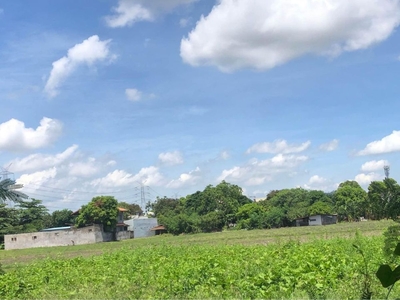 Agricultural Lot for sale at Brgy. lakdayan, San Narciso Quezon