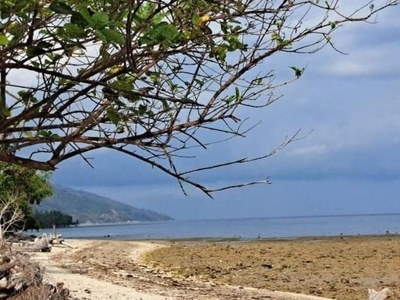 Beach Property For Sale in Puerto Princesa City, Palawan