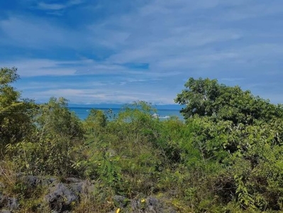 COMMERCIAL LOT FOR SALE AT PANGLAO, BOHOL