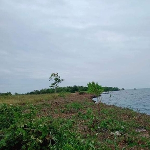 beach lot in pangan-an island (next to olango island)