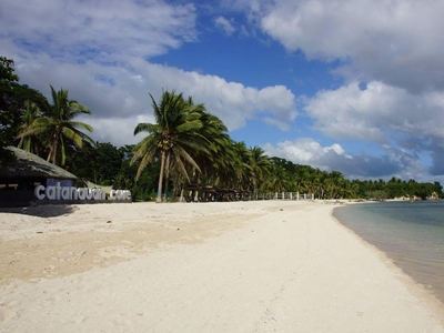 Beach Lot in Catanauan Cove for Sale