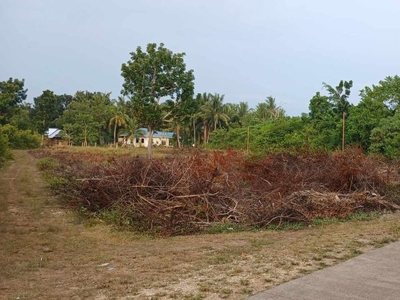 commercial lot for sale in bingag dauis, panglao(3 mins going to the beach)