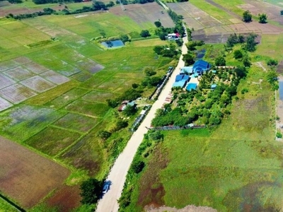 Mango Farm with Creek for Sale! | Iba, Zambales | MF01