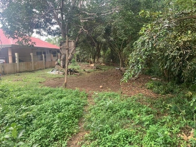 Commercial/Residential Land for Sale in Tangnan, Panglao, Bohol