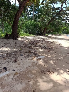 CRN-B31 5 Hectares Beach Lot for sale in Cheey, Busuanga, Palawan