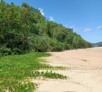 CRN-B26 Beach/Agriculture/Overlooking Lot Property for Sale, Culion