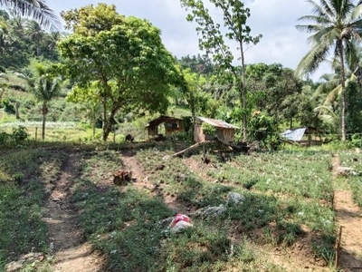 Farmlot With Flower, Income Generated