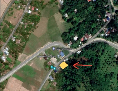 For Sale 500 sqm Commercial Lot - Diversion Road, Mina, Lezo, Aklan