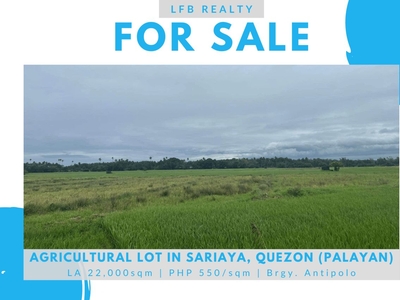 For Sale: Residential Lot in Park Ridge Estate, Antipolo City