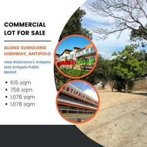 Residential Lot For Sale at Palo Alto Leisure and Residential Estates, Baras