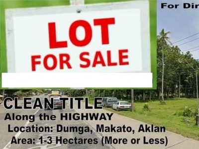 For Sale Vacant Lot Along The Highway Ideal For Business, Makato, Aklan