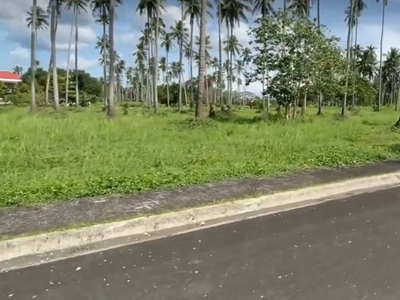 Farm Lots for Sale in Magallanes Cavite near Tagaytay