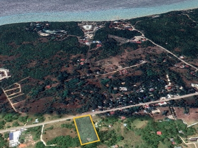 land/lot for sale dau dauis panglao island bohol 7615 sq.m