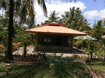 Lot for Sale- 4898 sqm with Rest House in Bignay 2, Sariaya, Quezon