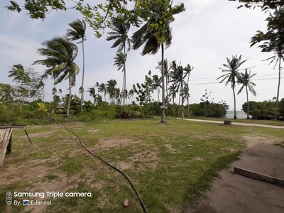 Lot for Sale Few Steps from the Beach in Bohol