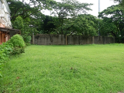 Agricultural Land For Sale: Cabatang, Tiaong Quezon Province