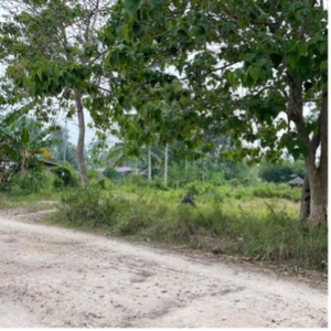 489 sqm Lot for Sale Walking distance to the beaches!, Island of garden Samal