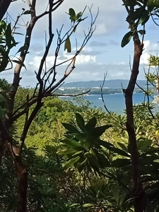 Lot for Sale in Malay, Aklan