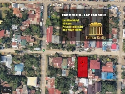 Lot For Sale In Mintal, Davao