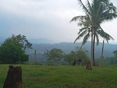 Overlooking Mountain View and Laguna Lake Lot For Sale in Antipolo City