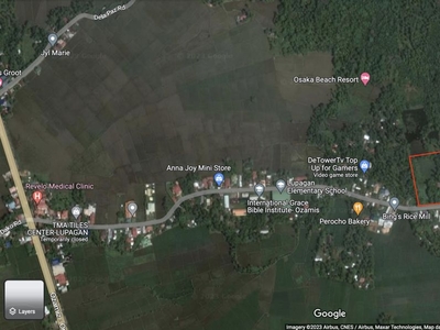 Residential/Agricultural flat terrain land near the beach in Clarin, Mis. Occ
