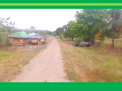 RESIDENTIAL FARM LOTS - Php 560k For Sale Philippines