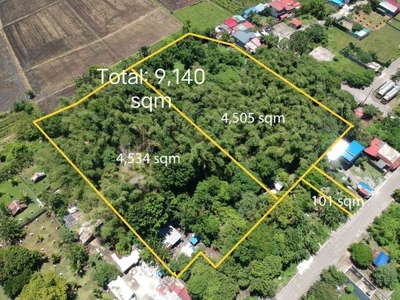 Residential Lot For Sale in Cabuyao, Laguna