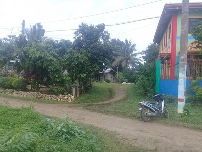 Residential Lot for Sale in San Isidro, Tagbilaran City